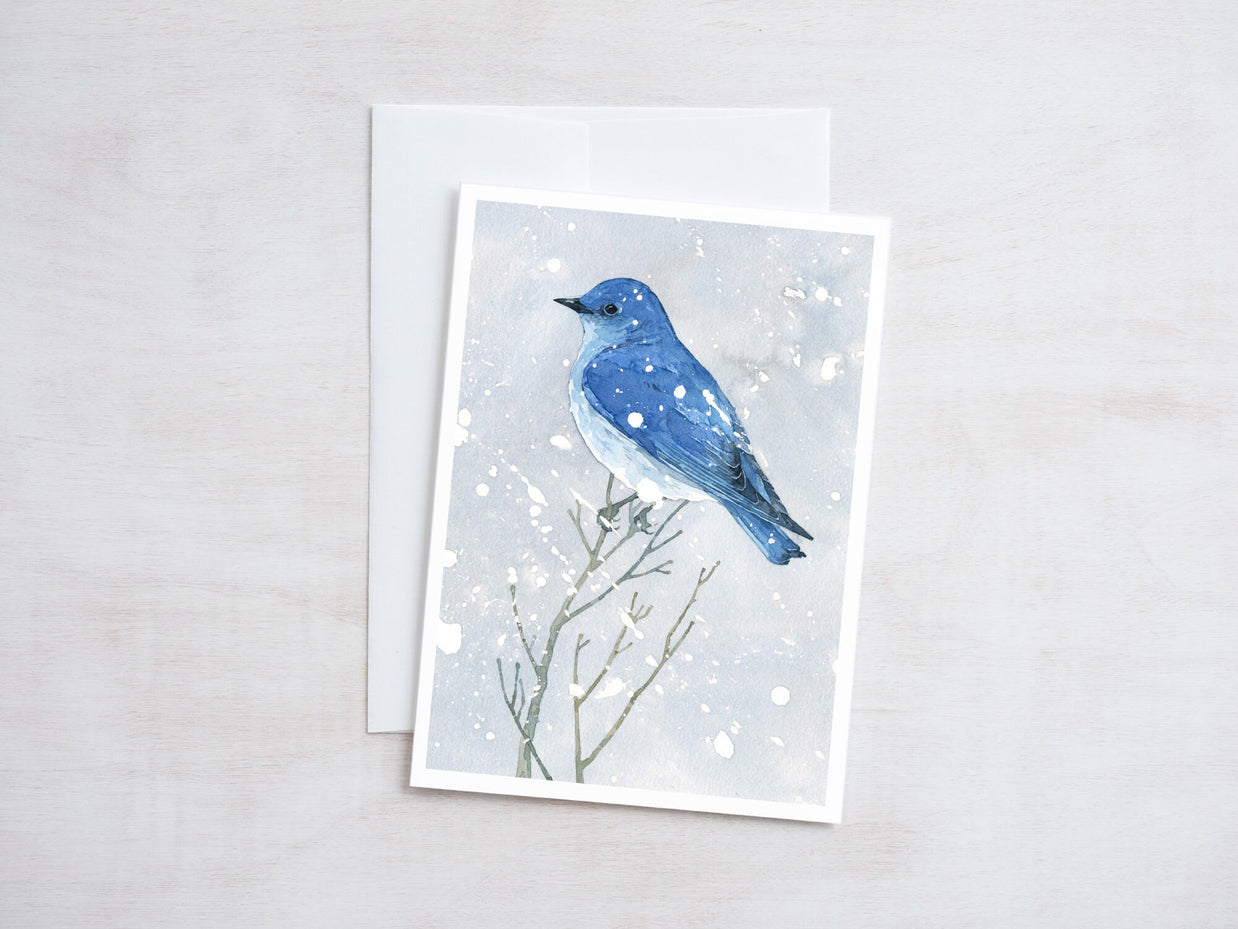 Mountain Bluebird in Snow Card Set