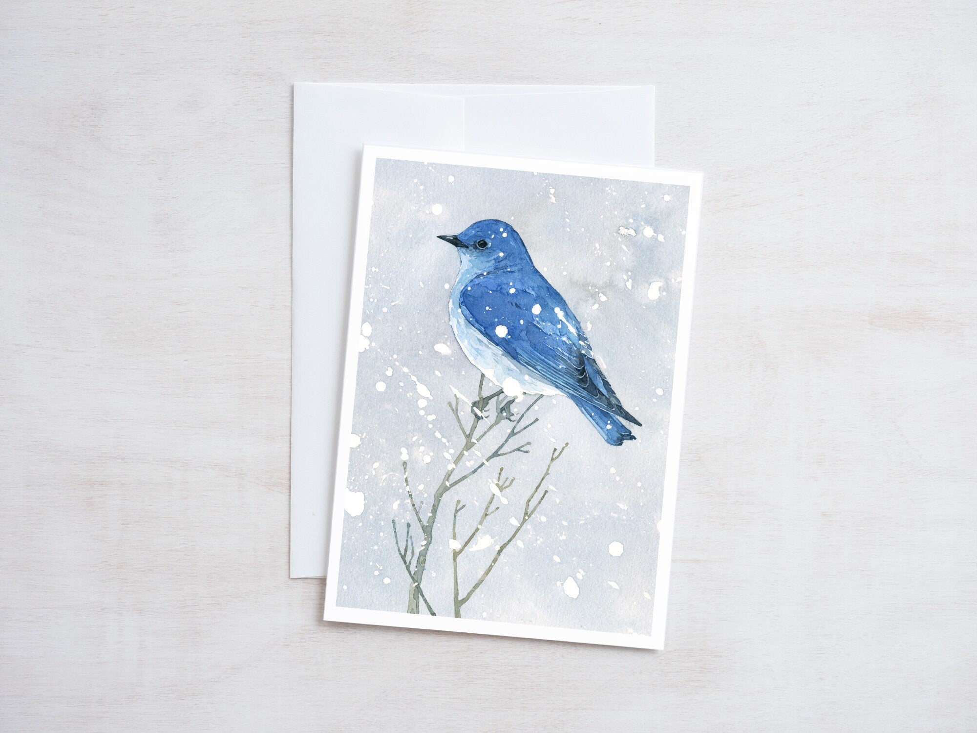 Mountain Bluebird in Snow Card Set