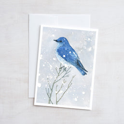 Mountain Bluebird in Snow Card Set