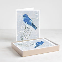Mountain Bluebird in Snow Card Set