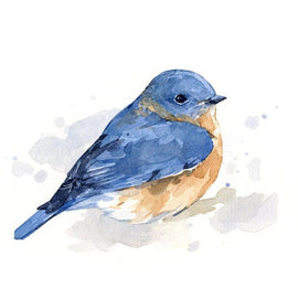 Bluebird Watercolor Print