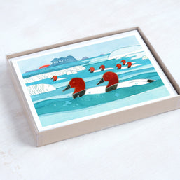 Canvasback Ducks Winter Holiday Card Set