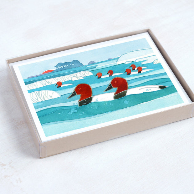 Canvasback Ducks Winter Holiday Card Set