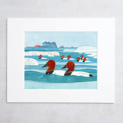 Canvasbacks Ducks in Winter Print