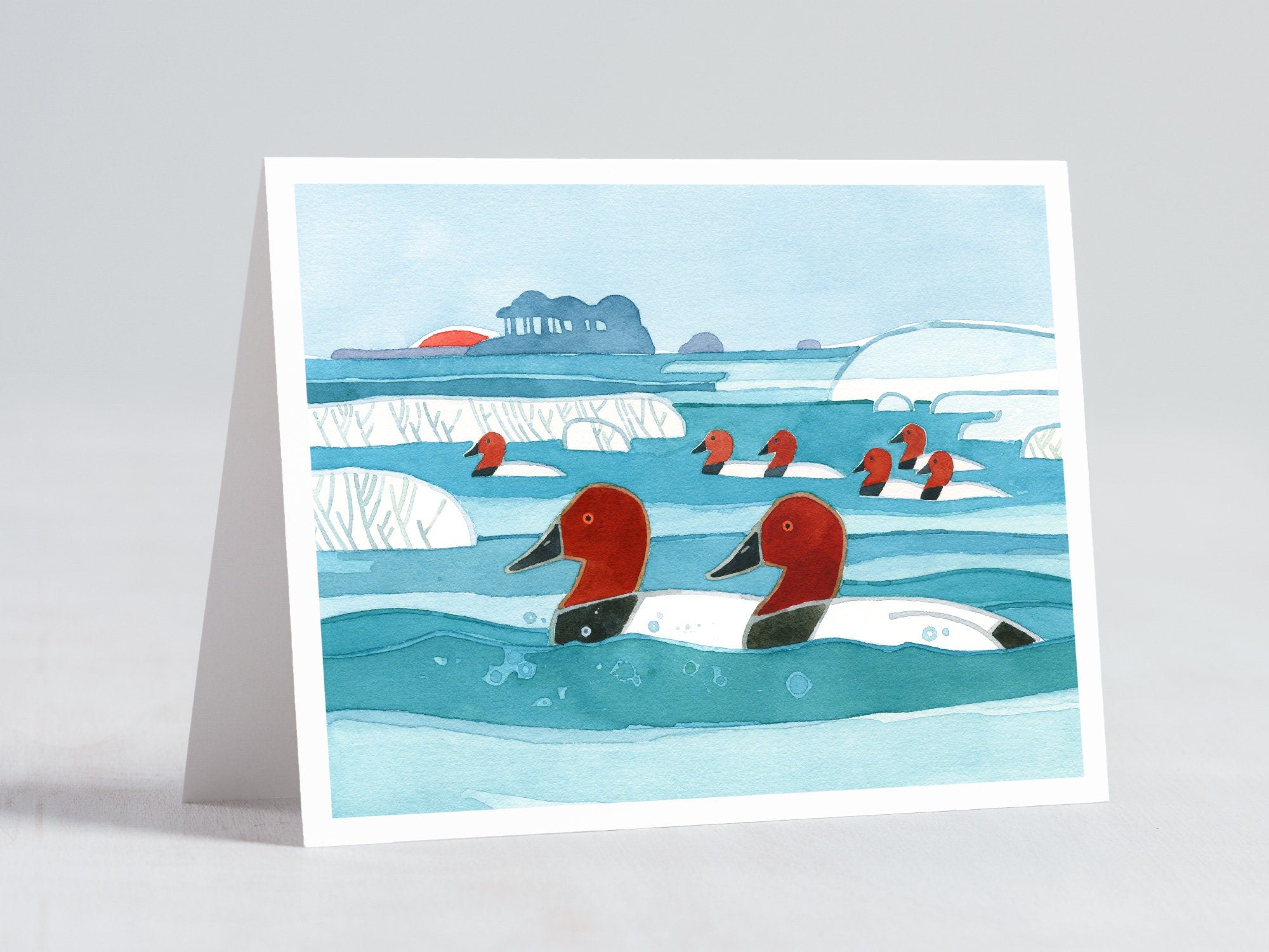 Canvasback Ducks Winter Holiday Card Set