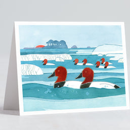 Canvasback Ducks Winter Holiday Card Set