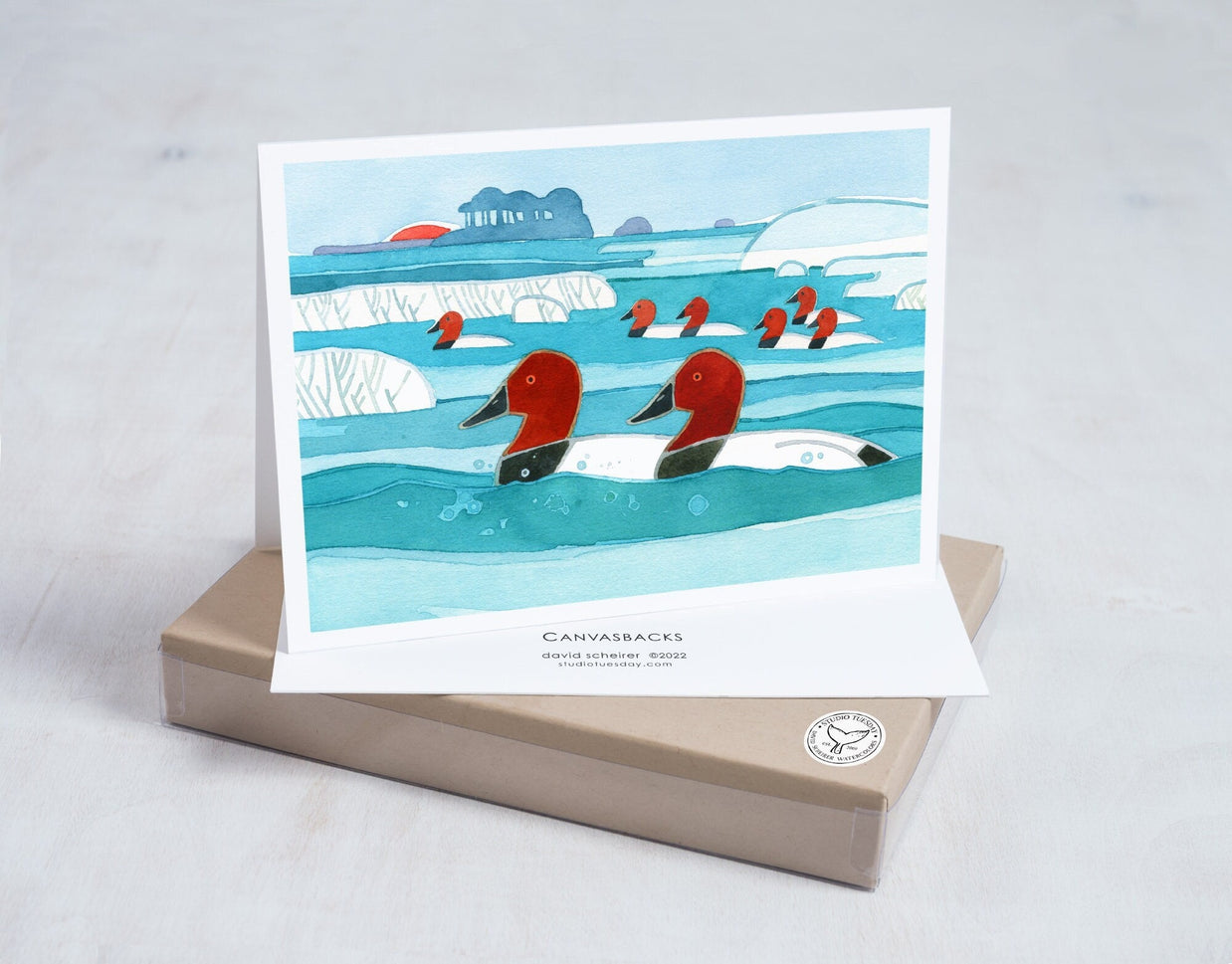 Canvasback Ducks Winter Holiday Card Set