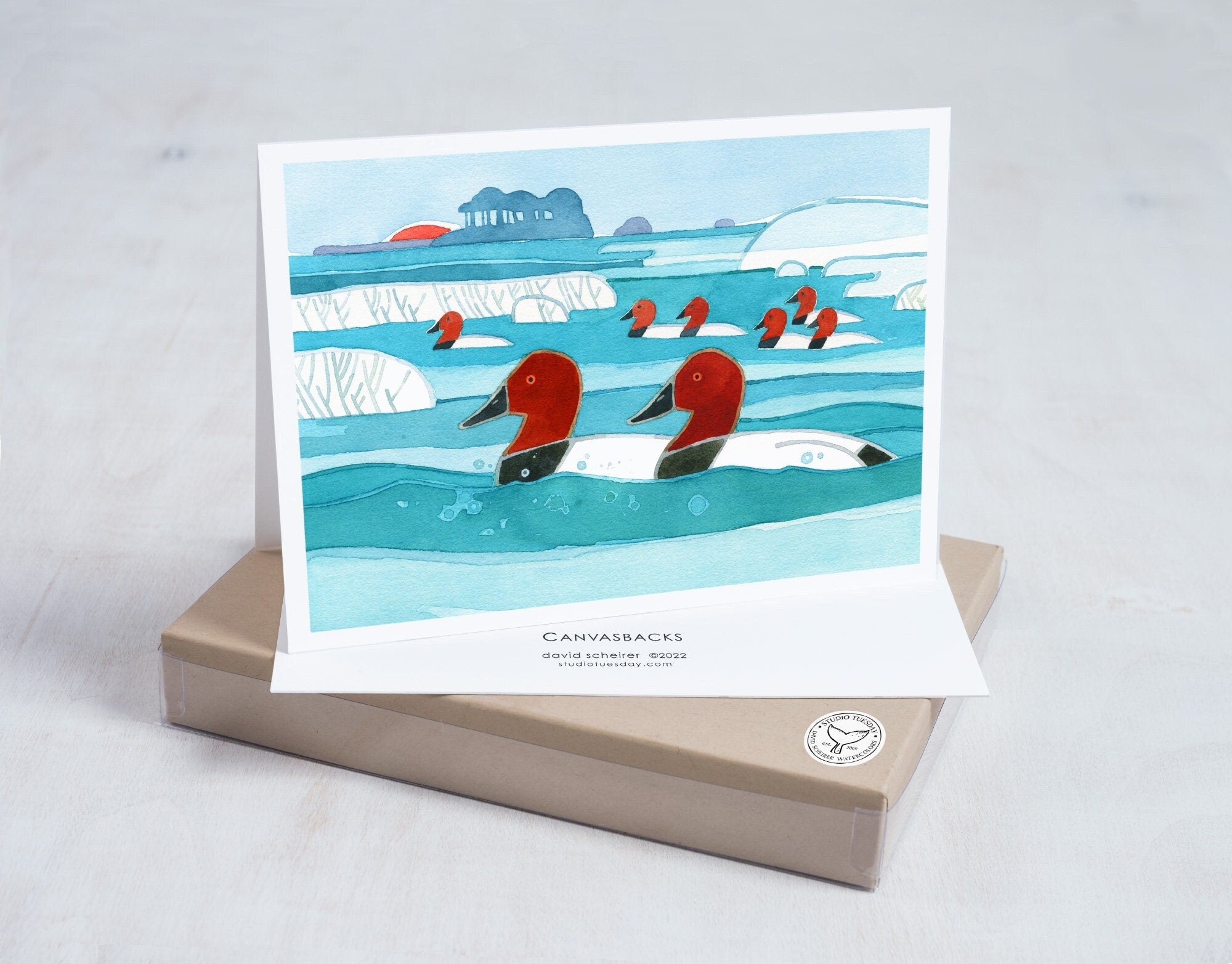 Canvasback Ducks Winter Holiday Card Set