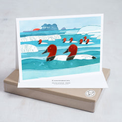 Canvasback Ducks Winter Holiday Card Set