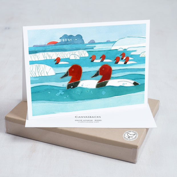 Canvasback Ducks Winter Holiday Card Set