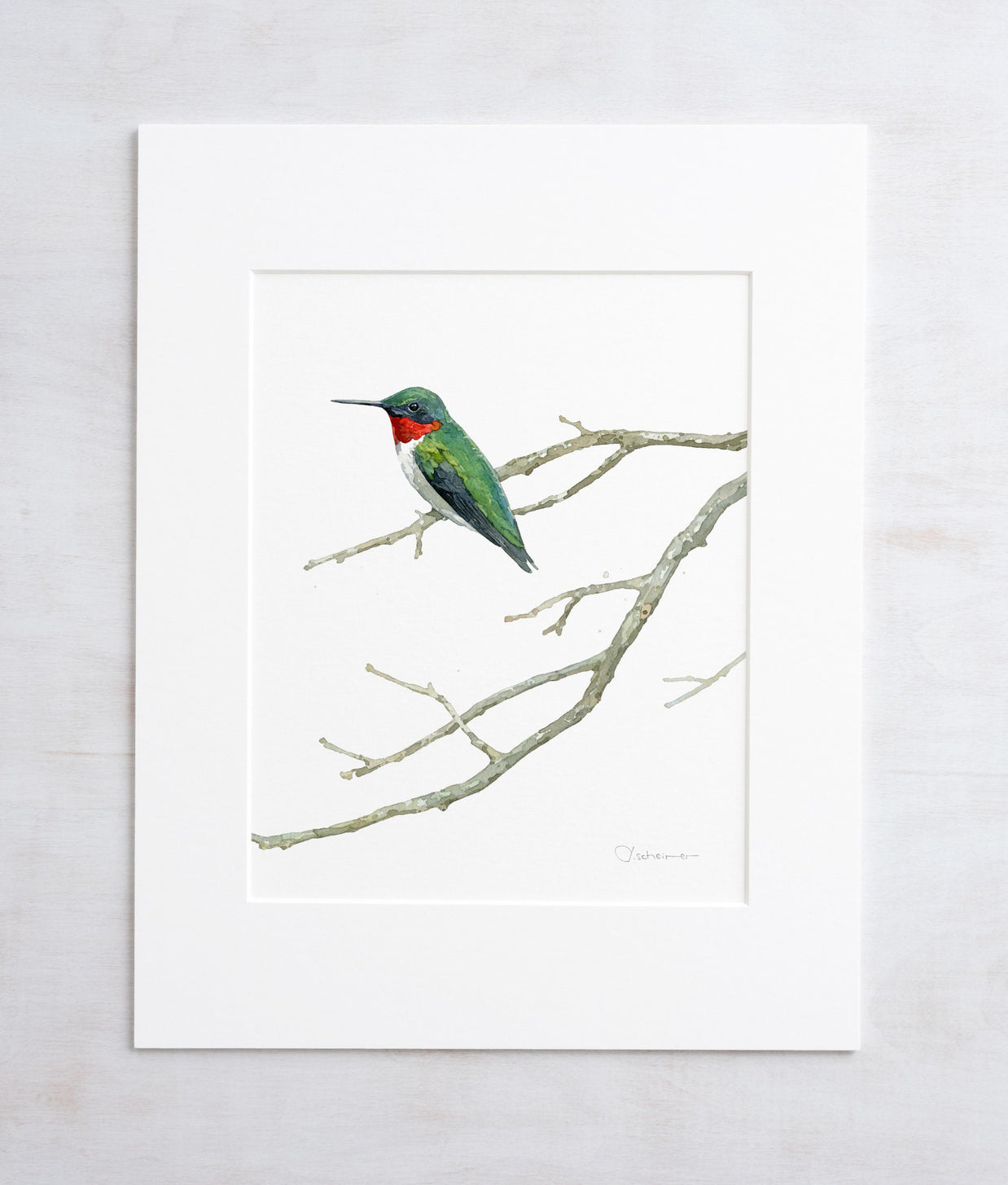 Ruby-throated Hummingbird Print