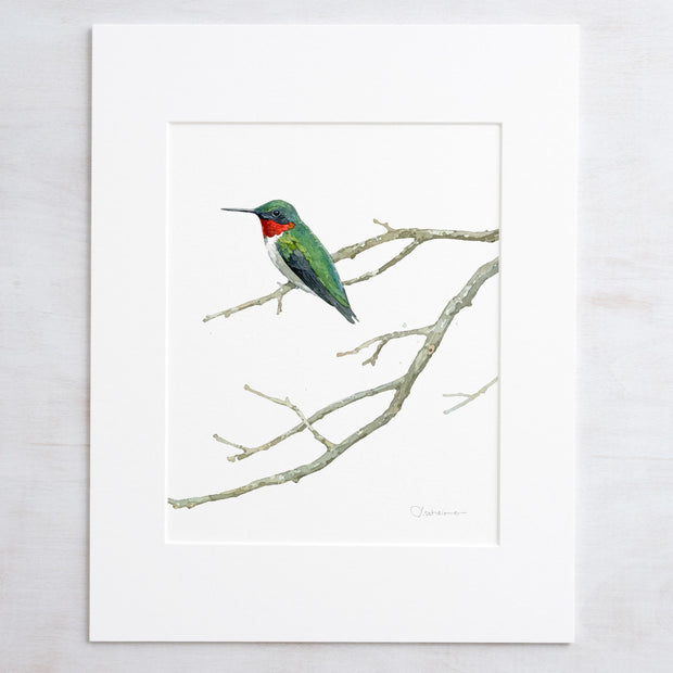 Ruby-throated Hummingbird Print