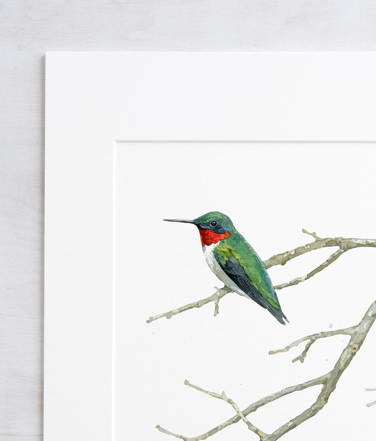 Ruby-throated Hummingbird Print