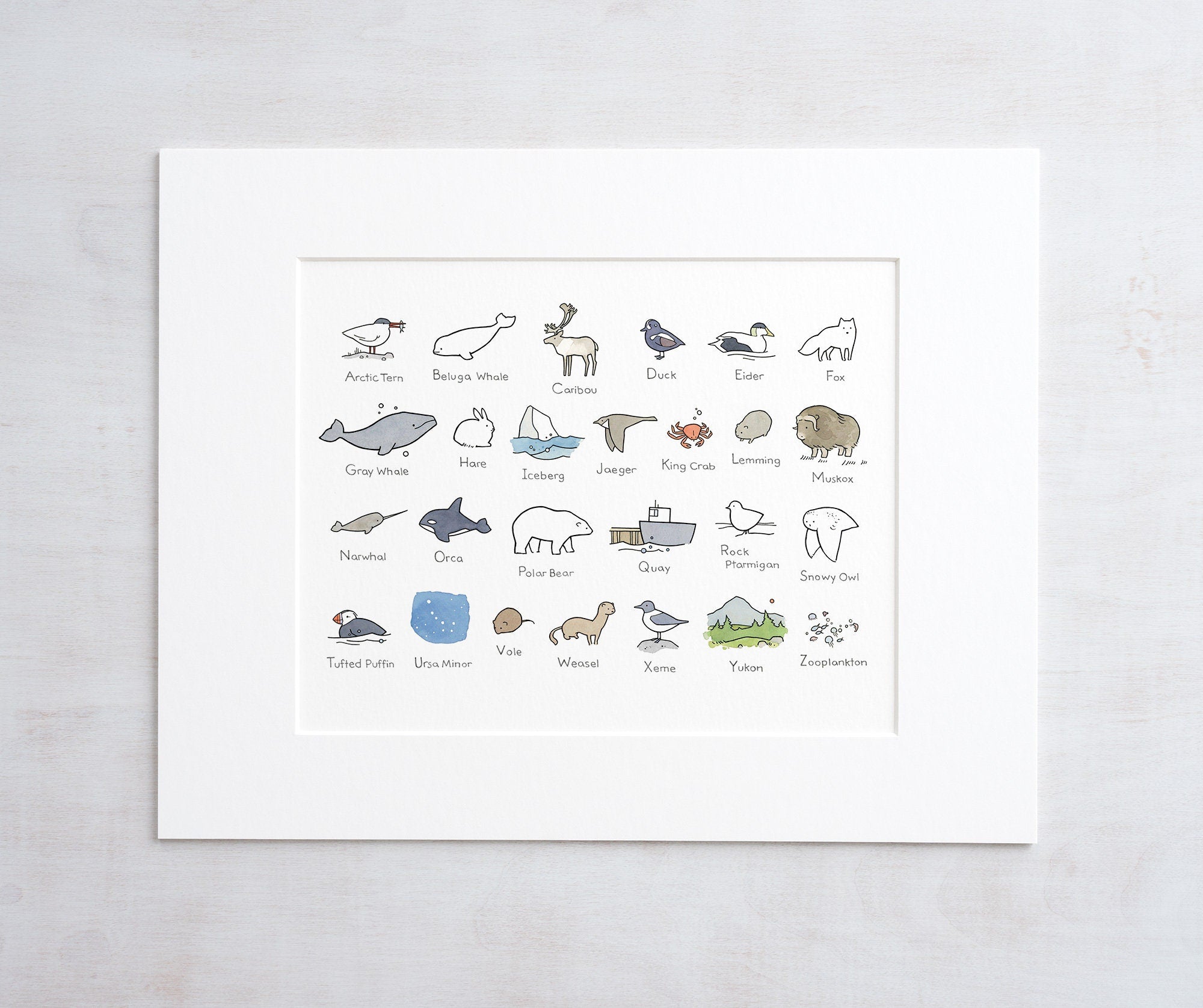 Illustrated Alphabet Arctic Print