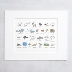 Illustrated Alphabet Arctic Print