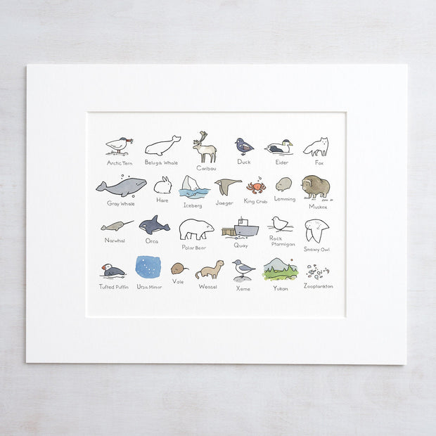 Illustrated Alphabet Arctic Print