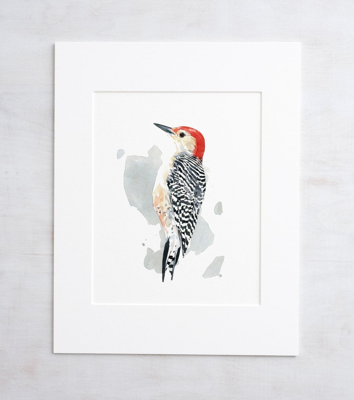 Red-bellied Woodpecker Print