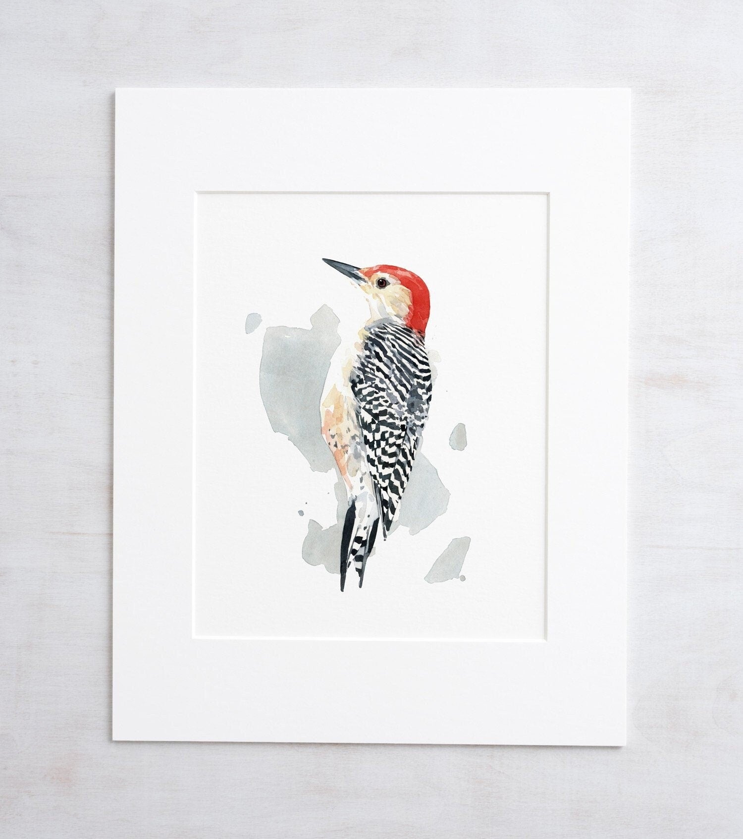 Red-bellied Woodpecker Print