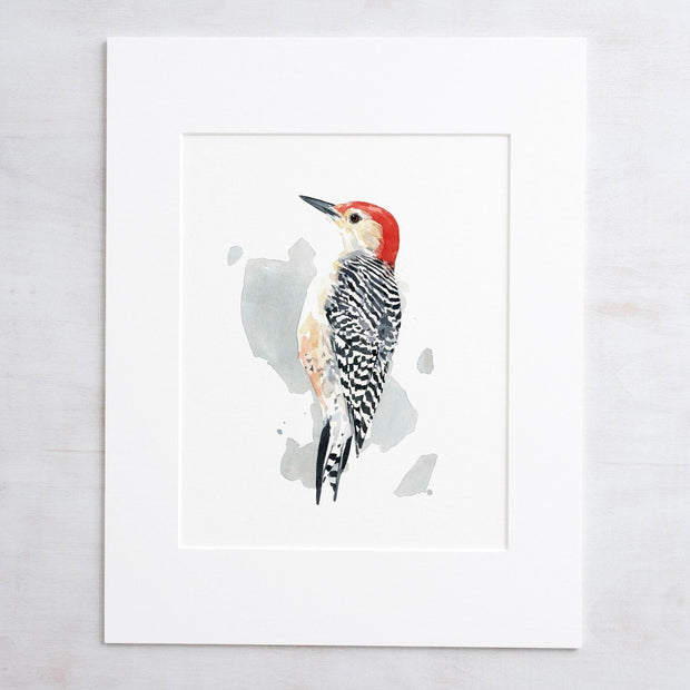 Red-bellied Woodpecker Print