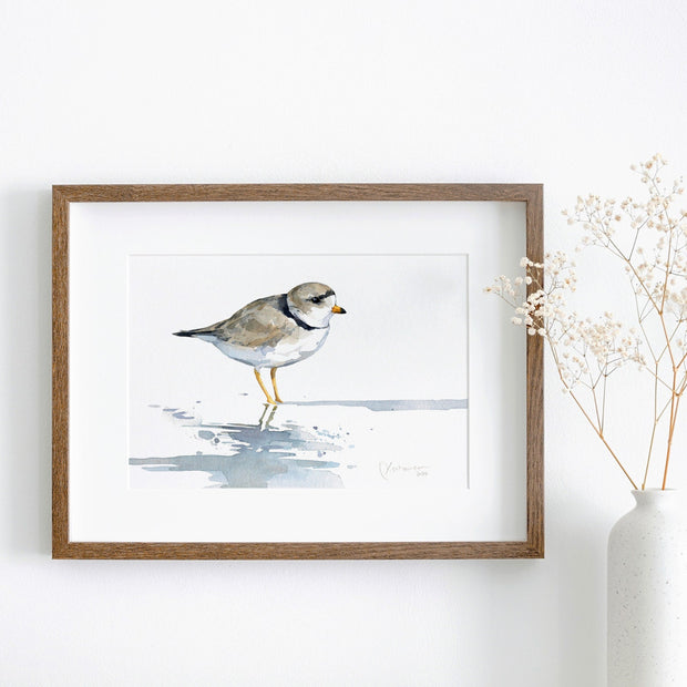 Piping Plover Print