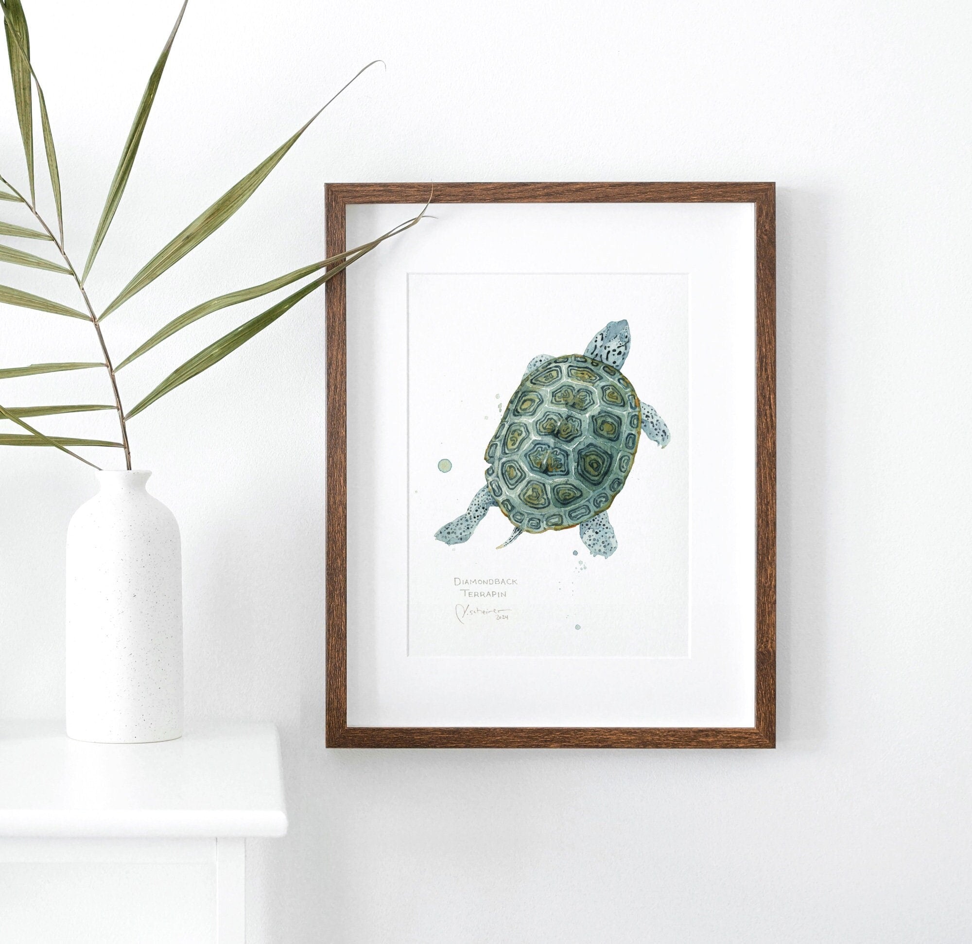 Diamondback Terrapin Art Print