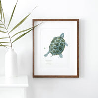 Diamondback Terrapin Art Print