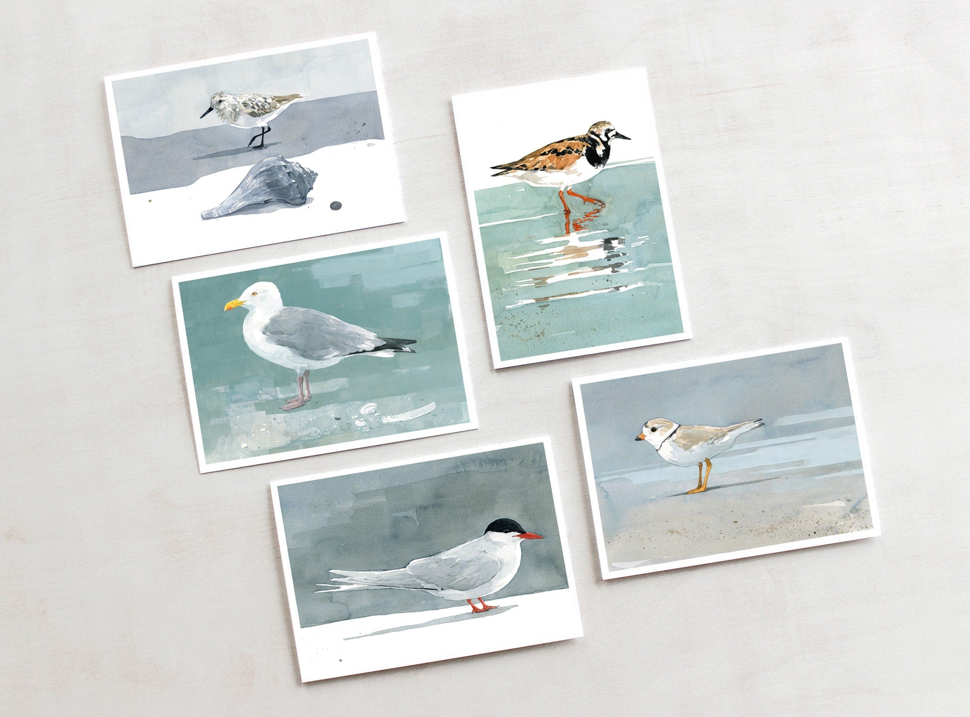 Shorebirds Card Set Mix II