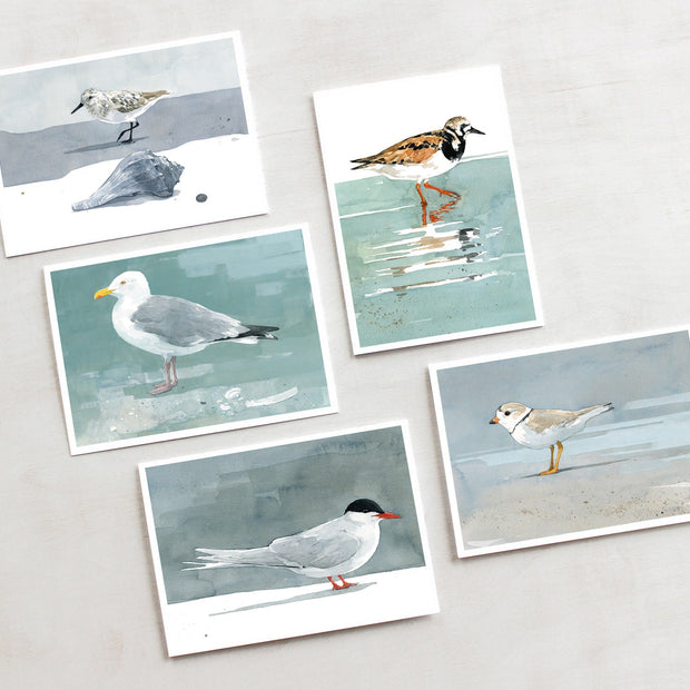 Shorebirds Card Set Mix II