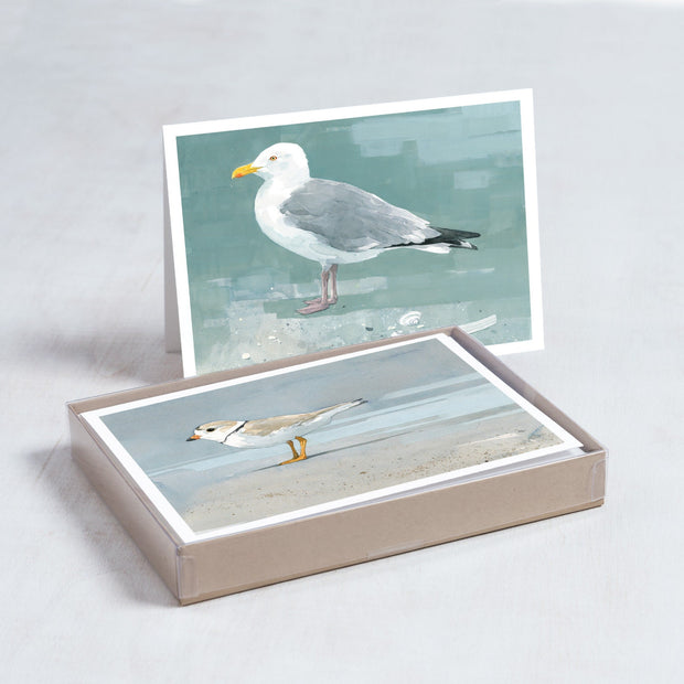 Shorebirds Card Set Mix II