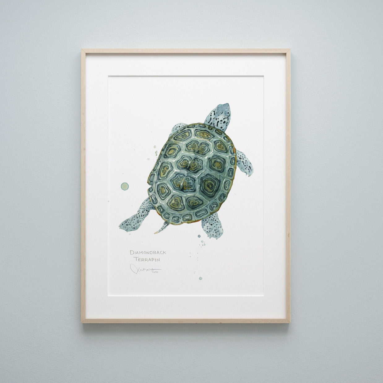 Diamondback Terrapin Art Print
