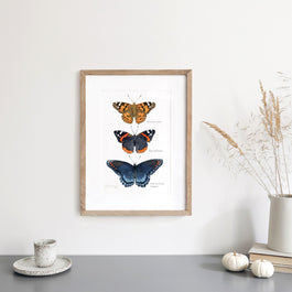 Butterfly Tier Watercolor Art Print