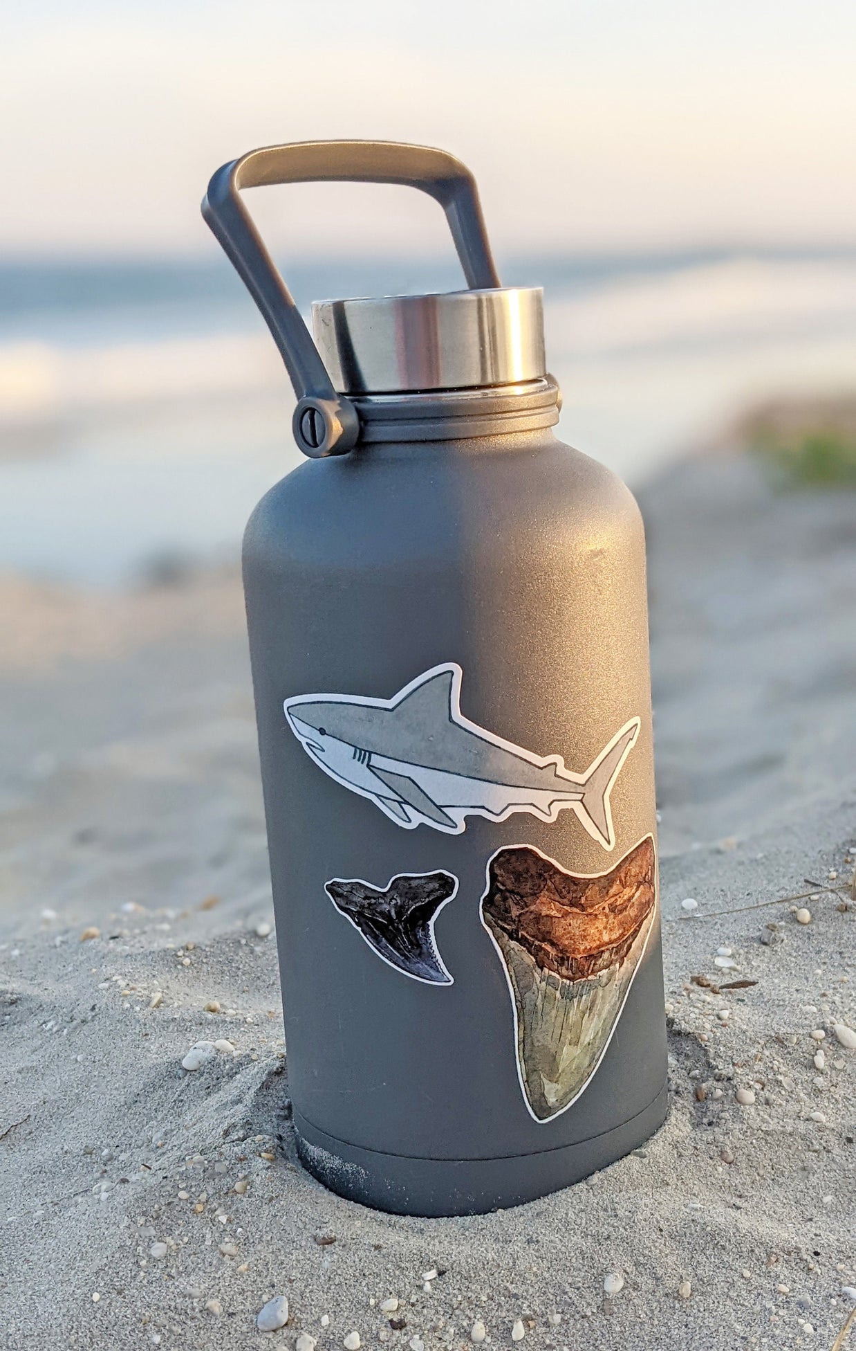 Shark Teeth Sticker Set