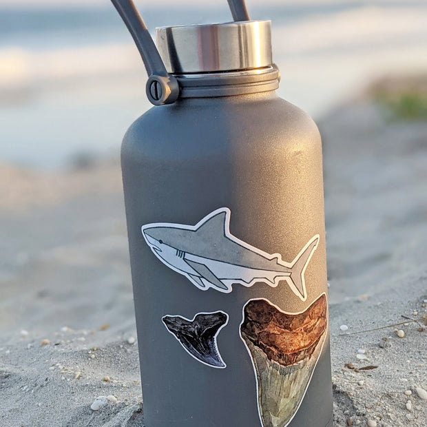 Shark Teeth Sticker Set