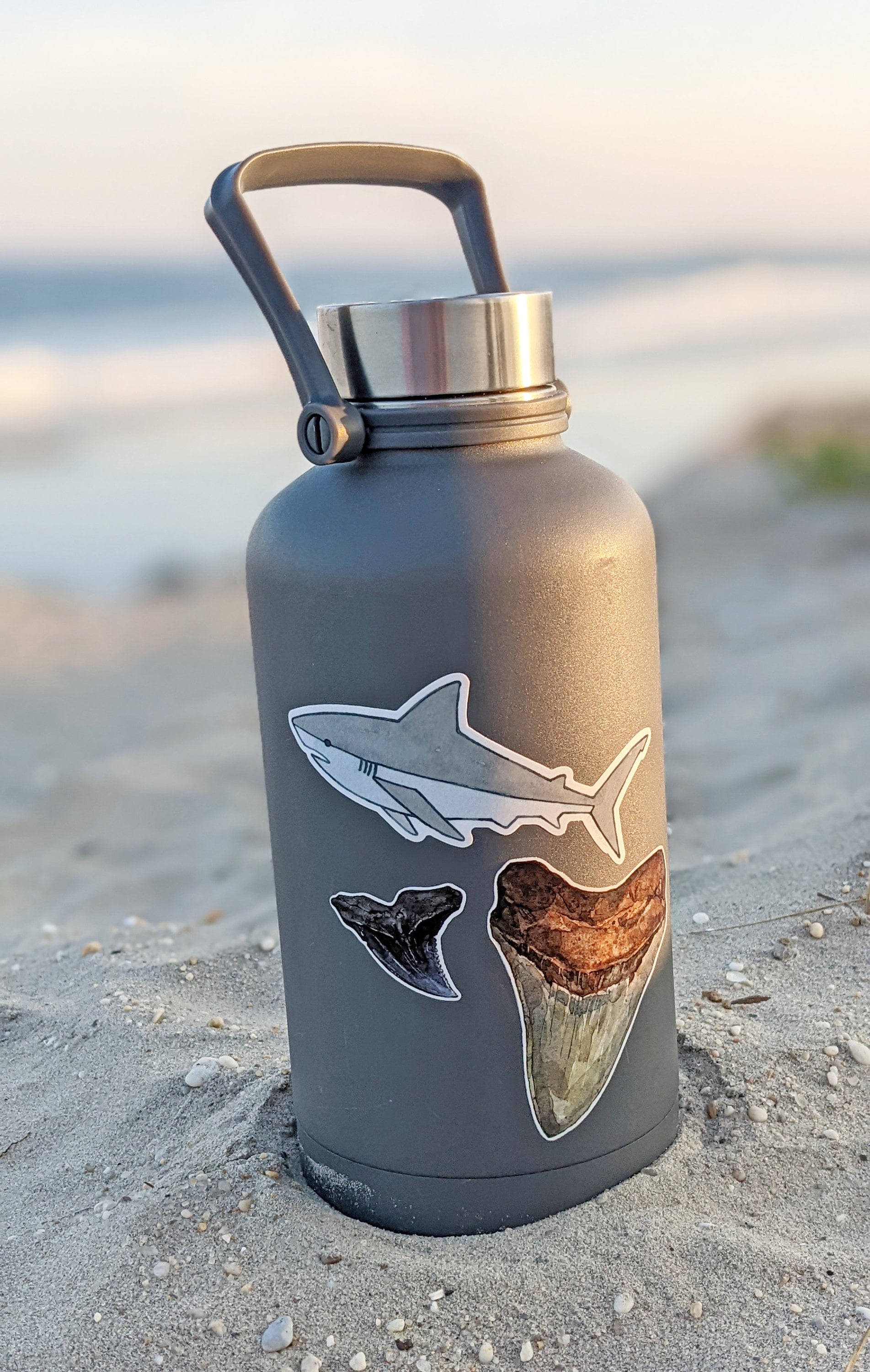 Reef Shark Vinyl Sticker