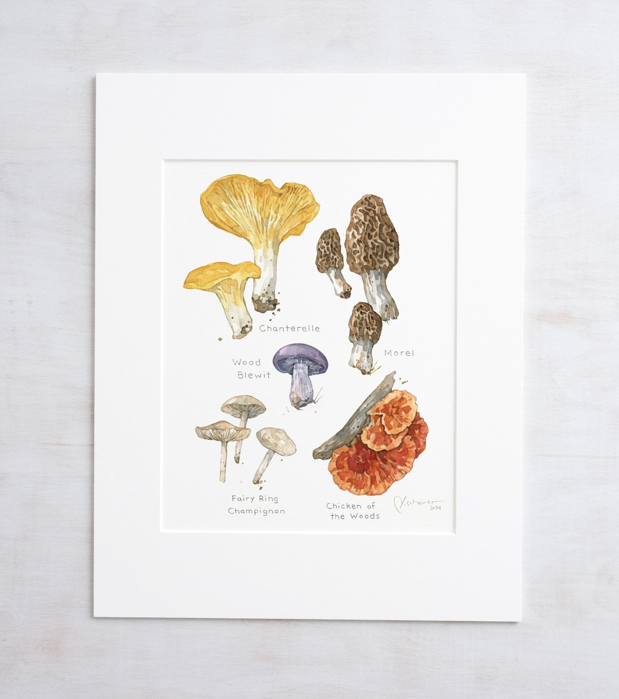 Forageable Mushrooms Set of 2 Prints