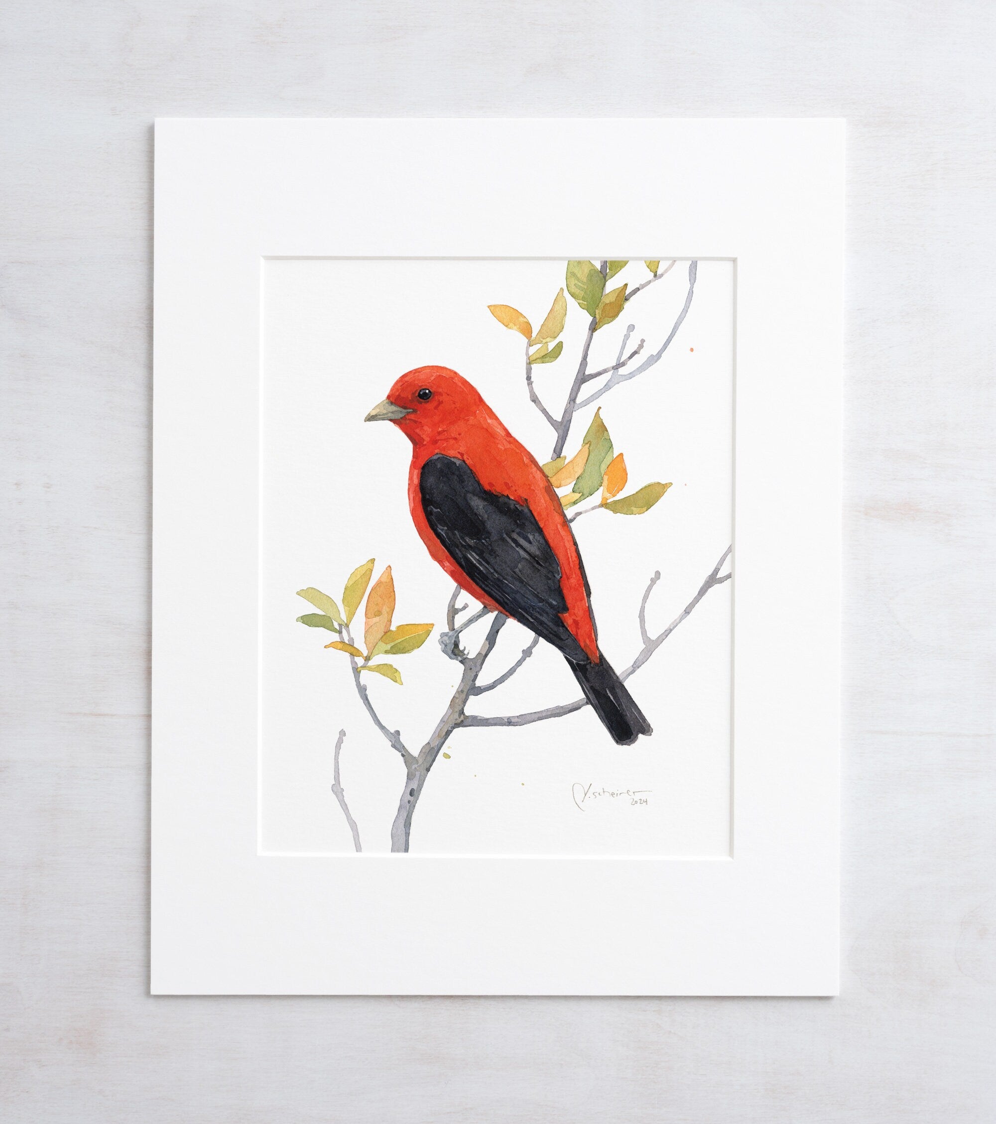 Scarlet Tanager Bird Print