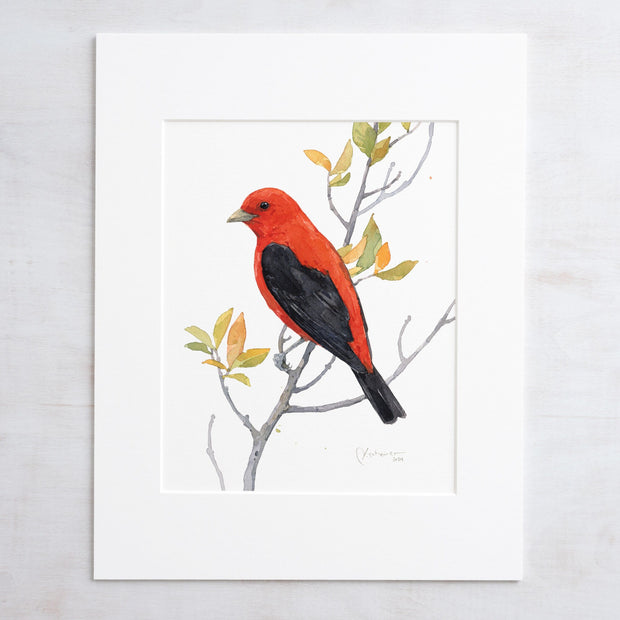 Scarlet Tanager Bird Print