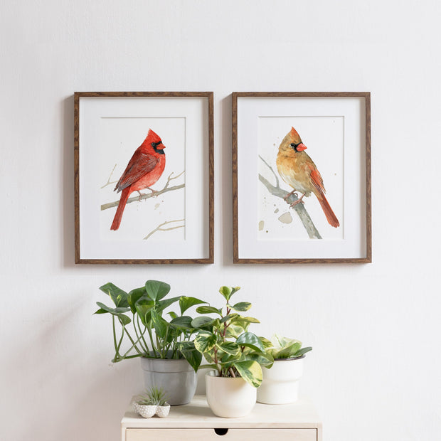 Female Cardinal on Branch Print