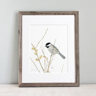Chickadee On Branch Print