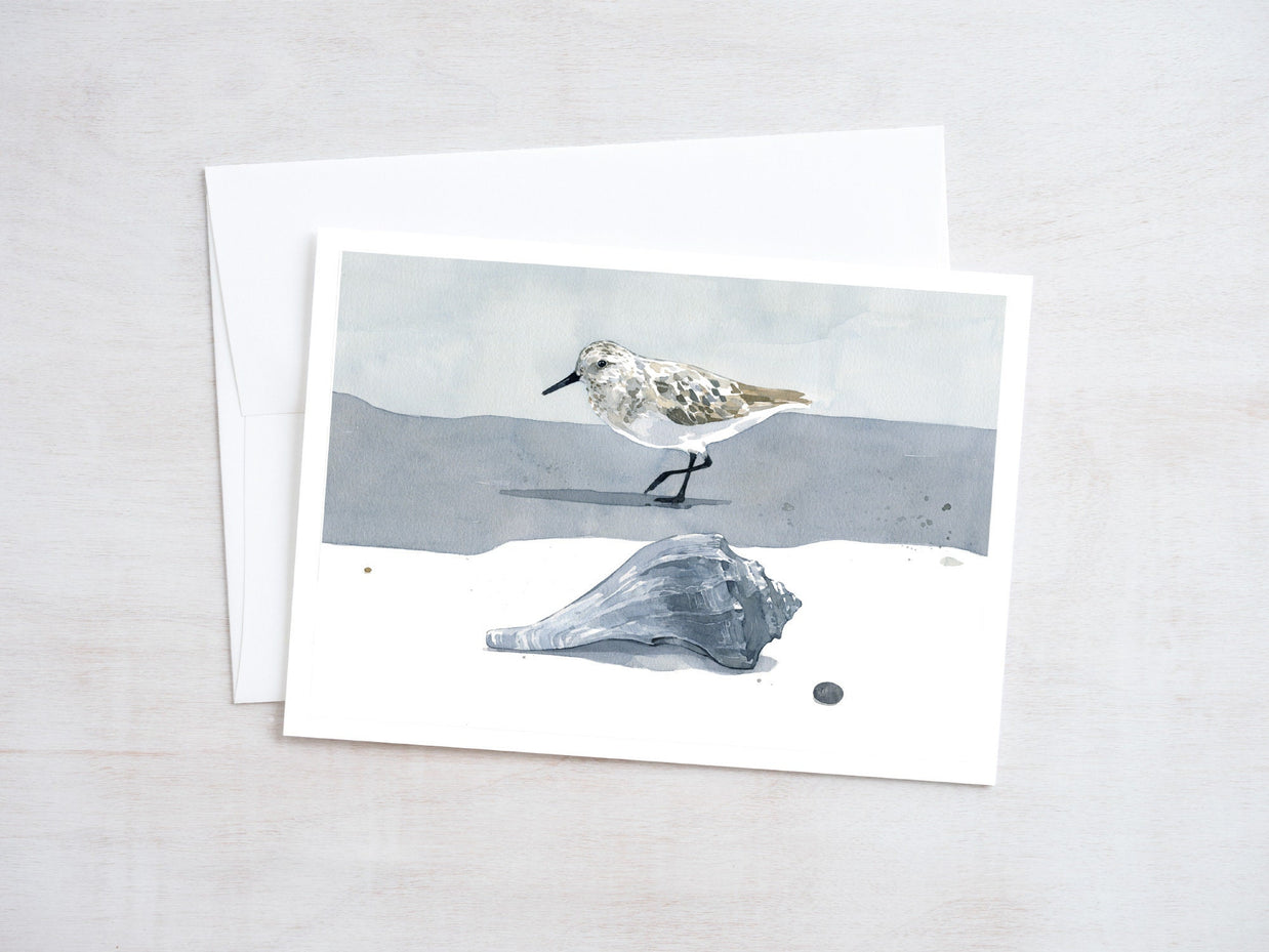 Shorebirds Card Set Mix II
