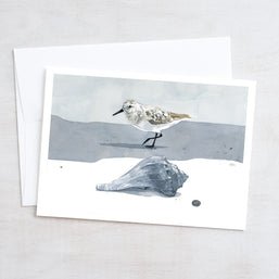 Shorebirds Card Set Mix II