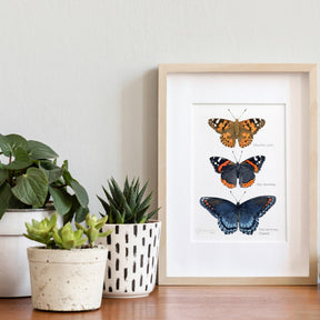 Butterfly Tier Watercolor Art Print