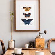 Butterfly Tier Watercolor Art Print