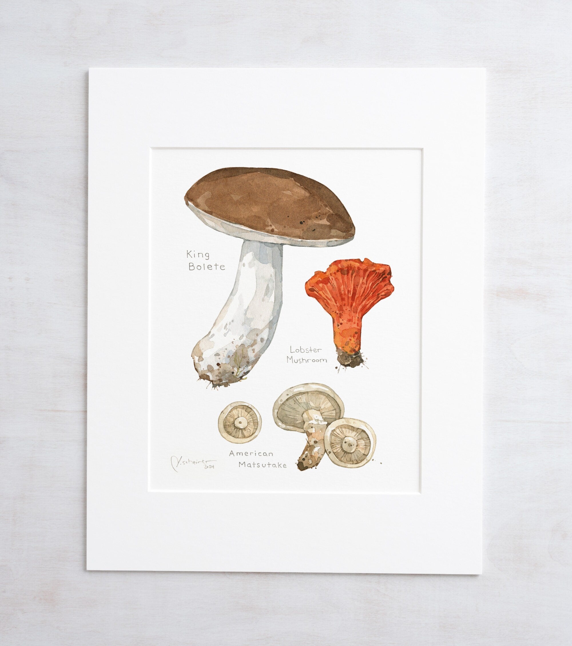 Forageable Mushrooms Set of 2 Prints