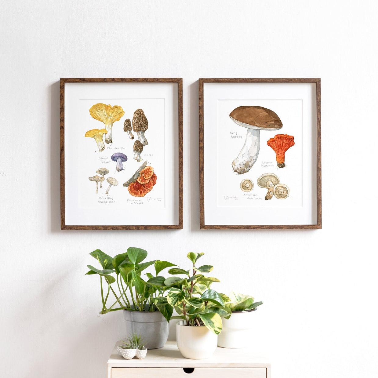 Forageable Mushrooms Set of 2 Prints