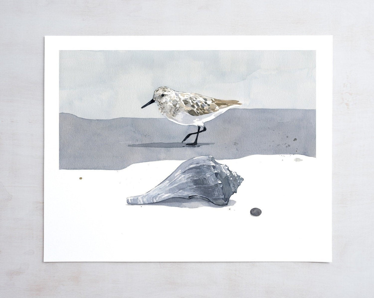 Sandpiper & Whelk Print