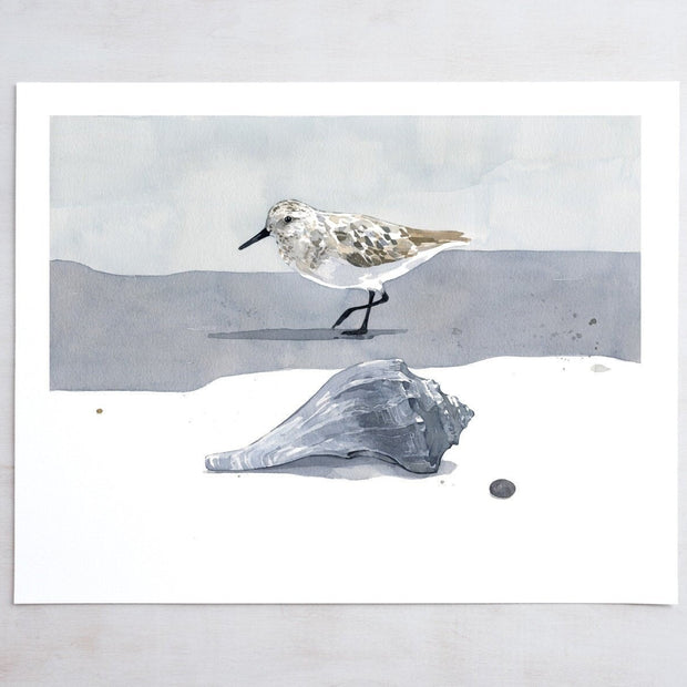 Sandpiper & Whelk Print