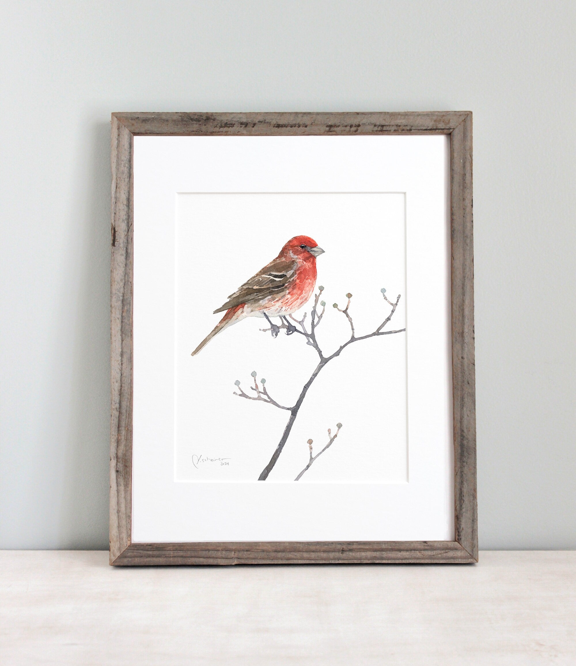 House Finch on Dogwood Branch Print