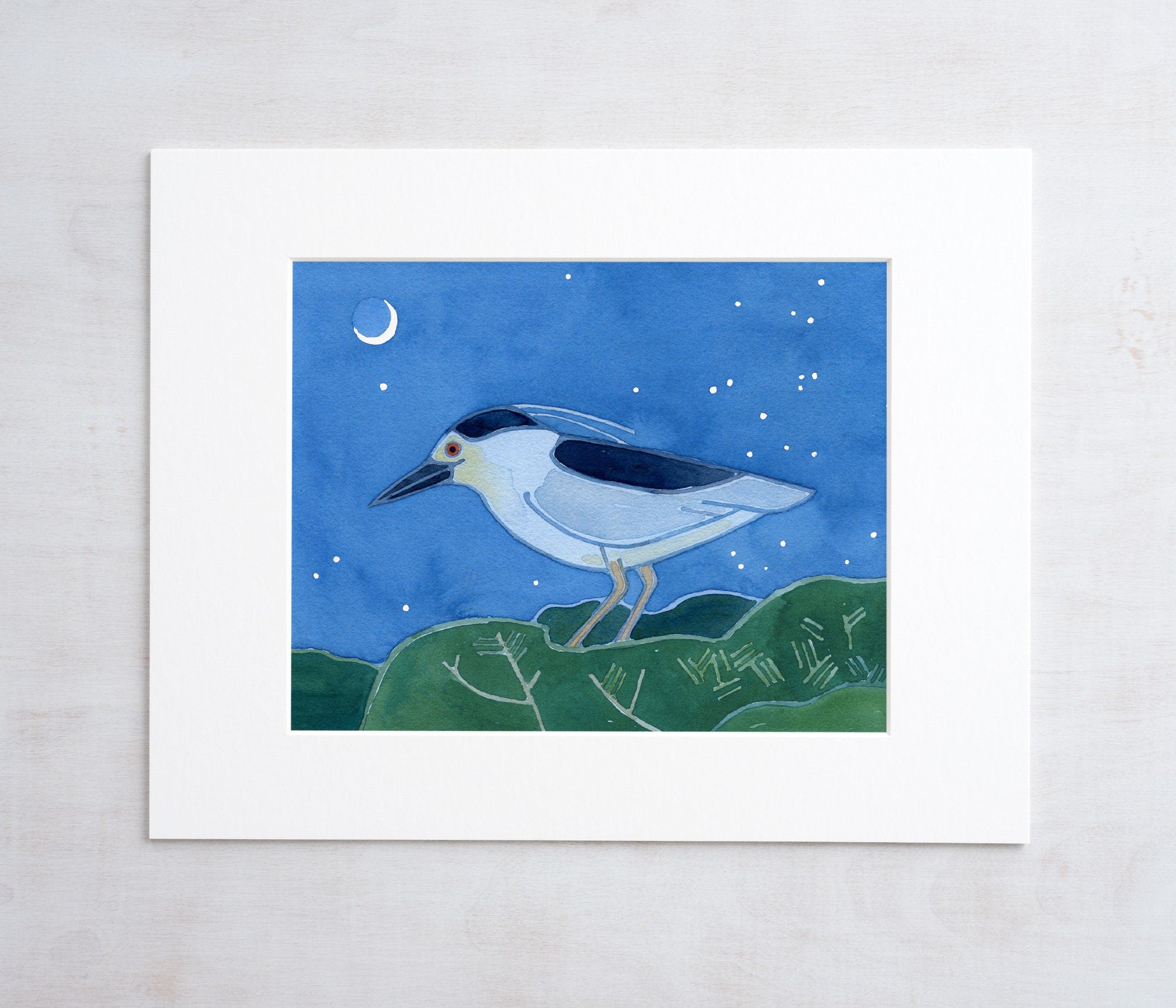 Black-crowned Night Heron Print
