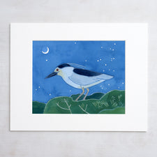 Black-crowned Night Heron Print